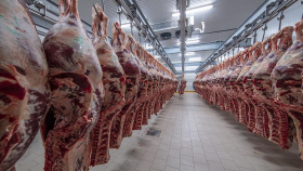 В НМА привели оценку мирового производства мяса к 2040 году